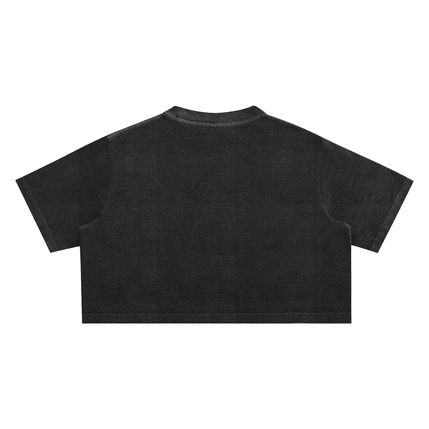 Womens Snow Washed Crop Top